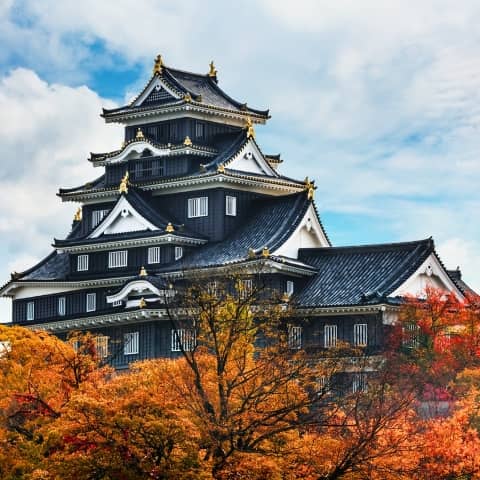 Okayama Black Crow Castle