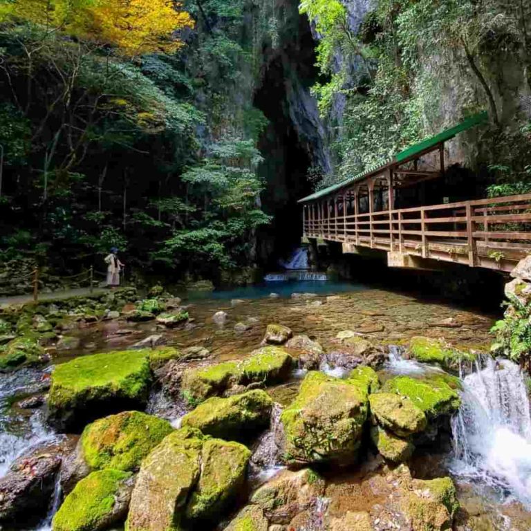 Yamaguchi Travel Guide | Festivals & Best Things To Do | Onigiro