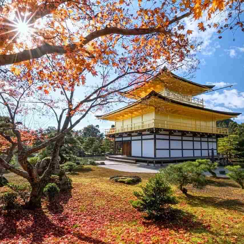 Kinkaku-ji Golden Pagoda