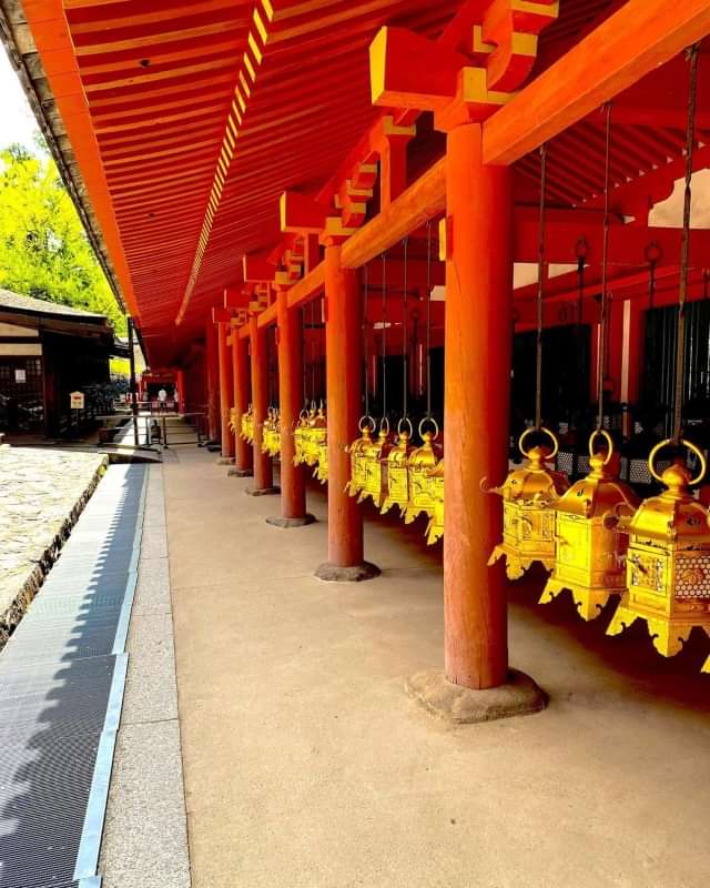 Kasuga-taisha Shrine Golden Lanterns
