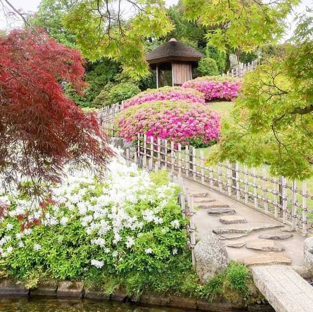 Kōraku-en Garden in Spring