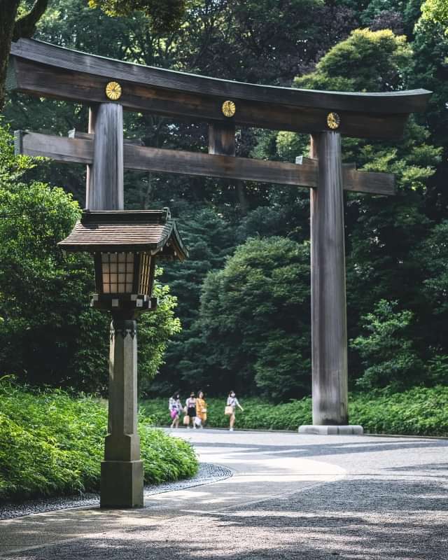 Meiji-jingū Wooden Torii