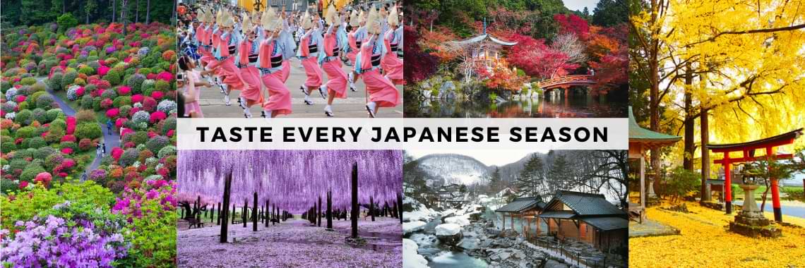 Seasons of Japan desktop header