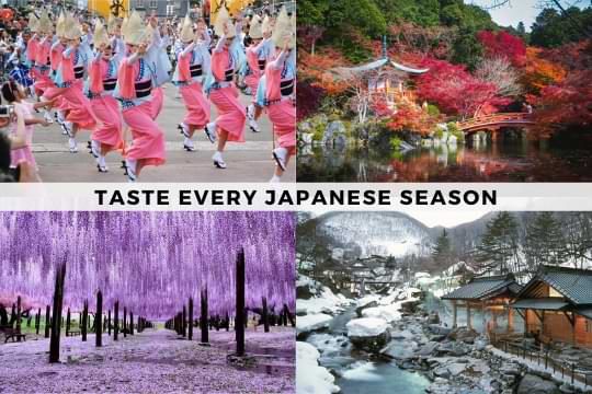 Seasons of Japan mobile header